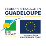BLOC-MARQUE_GRAND-FORMAT_FEAMPA (1)
